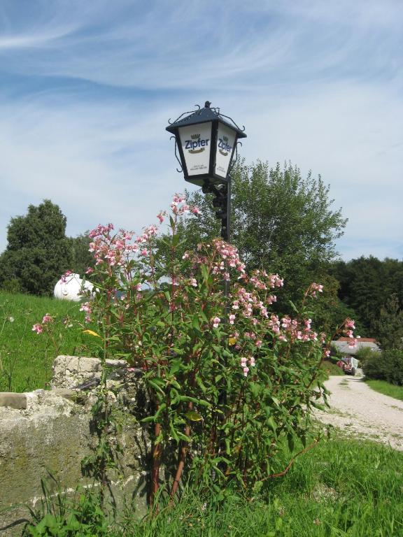Gasthof Pension Steinberger Sankt Georgen im Attergau Eksteriør bilde